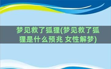 梦见救了狐狸(梦见救了狐狸是什么预兆 女性解梦)